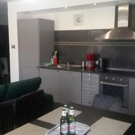 Silver Bursztynowe Komnaty Apartment *